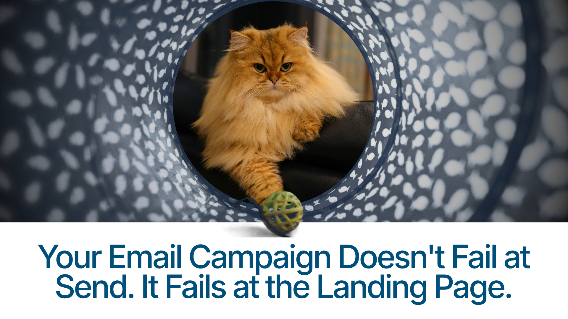 Your Email Campaign Doesn't Fail at Send. It Fails at the Landing Page.